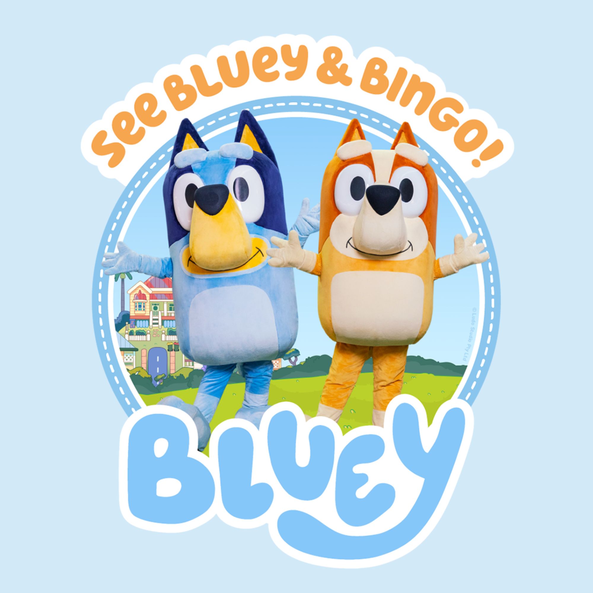 Bluey Live Arts and Culture Trust